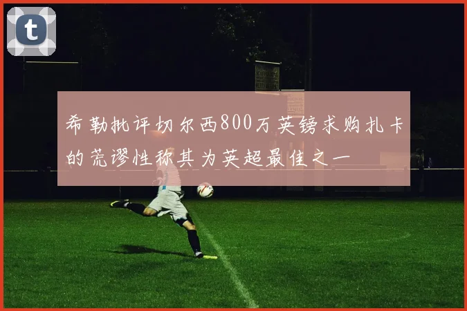 希勒批评切尔西800万英镑求购扎卡的荒谬性称其为英超最佳之一