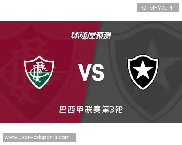 弗鲁米嫩塞大胜锁定巴甲前七名资格争夺明年解放者杯席位希望大增